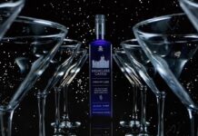 Downton Abbey Grand Finale with Highclere Castle Gin